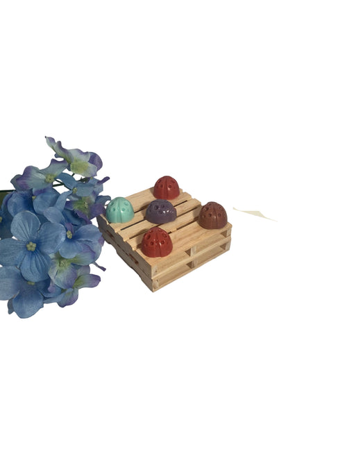 ARTsy wax melts (bagged)